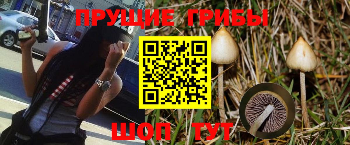 Фролово  Галлюциногенные грибы GOLDEN TEACHER  Вход с VPN 